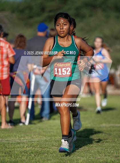 Thumbnail 2 in Larry Burgess Invitational A photogallery.