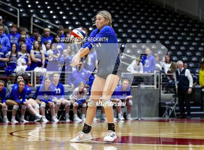 Thumbnail 1 in Windthorst vs. Schulenburg (UIL 2A Semifinal) photogallery.