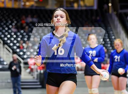 Thumbnail 3 in Windthorst vs. Schulenburg (UIL 2A Semifinal) photogallery.