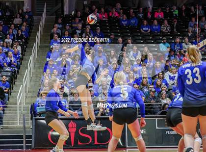 Thumbnail 1 in Windthorst vs. Schulenburg (UIL 2A Semifinal) photogallery.