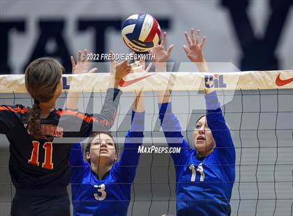 Thumbnail 1 in Windthorst vs. Schulenburg (UIL 2A Semifinal) photogallery.