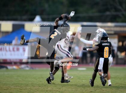Thumbnail 1 in Meigs County @ Hixson photogallery.