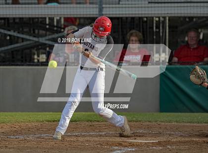 Thumbnail 1 in Mustang vs. Tuttle photogallery.