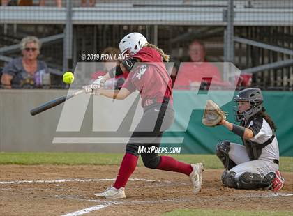 Thumbnail 2 in Mustang vs. Tuttle photogallery.