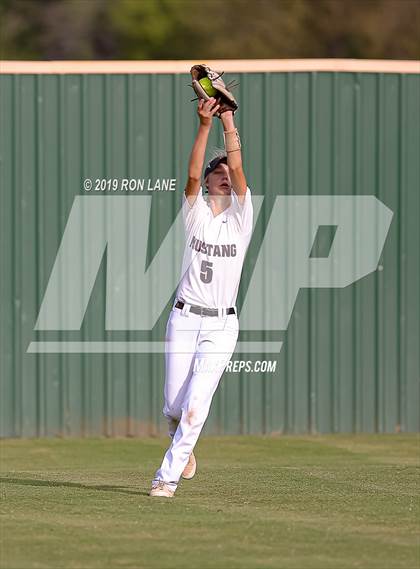 Thumbnail 2 in Mustang vs. Tuttle photogallery.