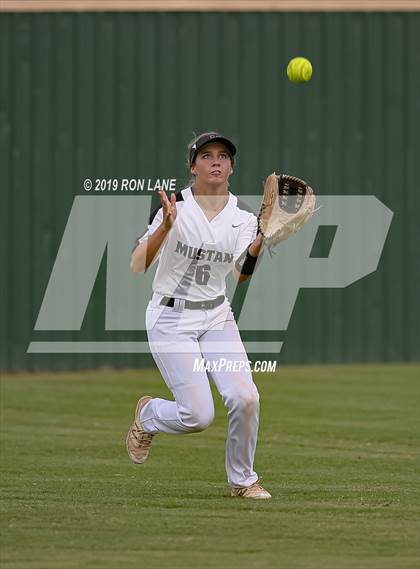 Thumbnail 3 in Mustang vs. Tuttle photogallery.