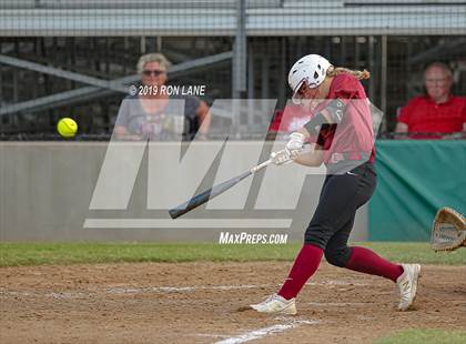 Thumbnail 1 in Mustang vs. Tuttle photogallery.
