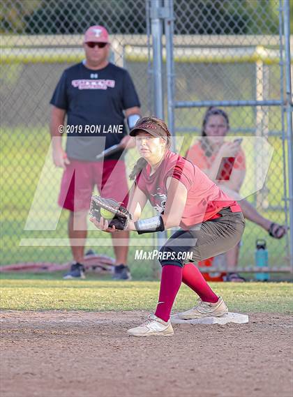 Thumbnail 3 in Mustang vs. Tuttle photogallery.