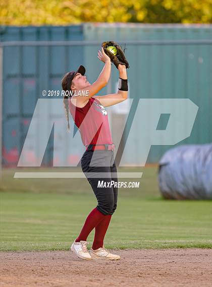 Thumbnail 3 in Mustang vs. Tuttle photogallery.