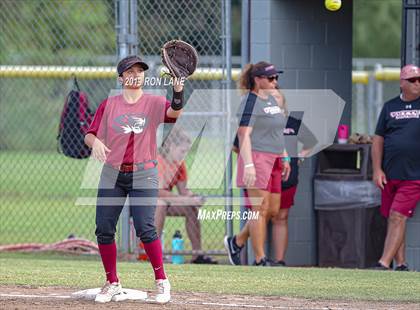 Thumbnail 1 in Mustang vs. Tuttle photogallery.
