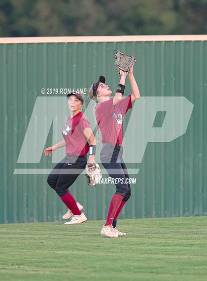 Thumbnail 2 in Mustang vs. Tuttle photogallery.