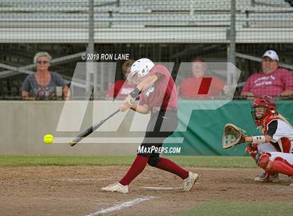 Thumbnail 3 in Mustang vs. Tuttle photogallery.