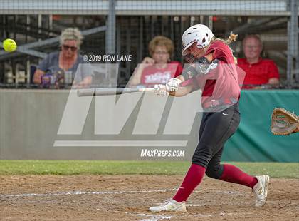 Thumbnail 2 in Mustang vs. Tuttle photogallery.