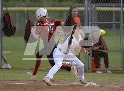 Thumbnail 3 in Mustang vs. Tuttle photogallery.