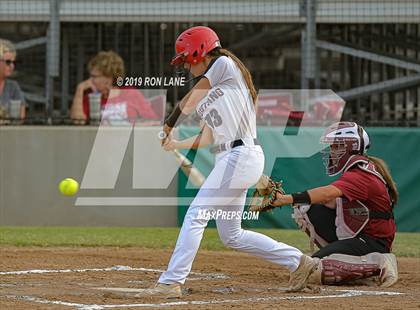 Thumbnail 3 in Mustang vs. Tuttle photogallery.