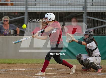 Thumbnail 2 in Mustang vs. Tuttle photogallery.