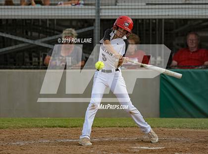 Thumbnail 1 in Mustang vs. Tuttle photogallery.