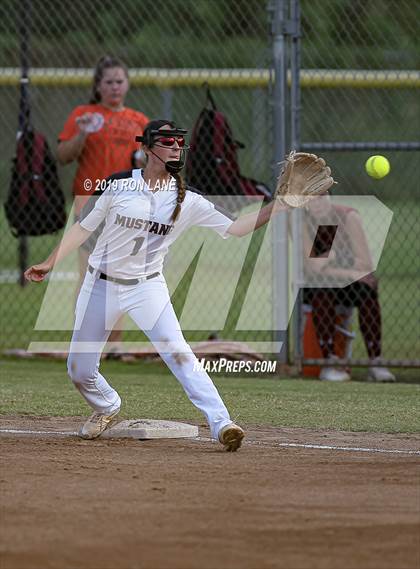 Thumbnail 1 in Mustang vs. Tuttle photogallery.
