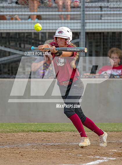 Thumbnail 1 in Mustang vs. Tuttle photogallery.