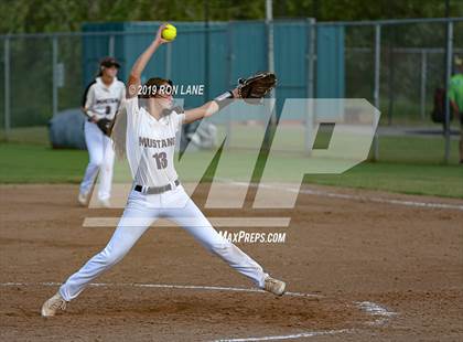 Thumbnail 1 in Mustang vs. Tuttle photogallery.
