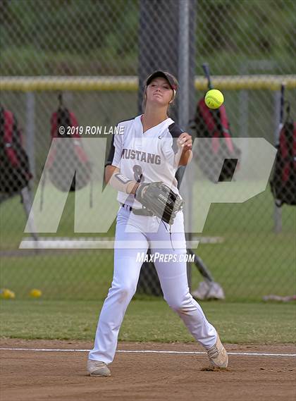 Thumbnail 2 in Mustang vs. Tuttle photogallery.