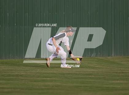 Thumbnail 2 in Mustang vs. Tuttle photogallery.