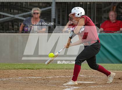 Thumbnail 3 in Mustang vs. Tuttle photogallery.