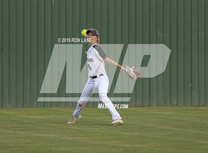 Thumbnail 2 in Mustang vs. Tuttle photogallery.