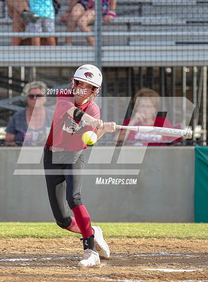 Thumbnail 2 in Mustang vs. Tuttle photogallery.