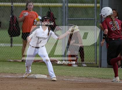 Thumbnail 2 in Mustang vs. Tuttle photogallery.