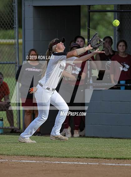 Thumbnail 3 in Mustang vs. Tuttle photogallery.