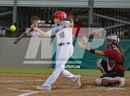 Thumbnail 1 in Mustang vs. Tuttle photogallery.