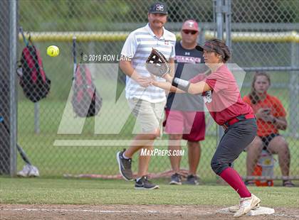 Thumbnail 2 in Mustang vs. Tuttle photogallery.