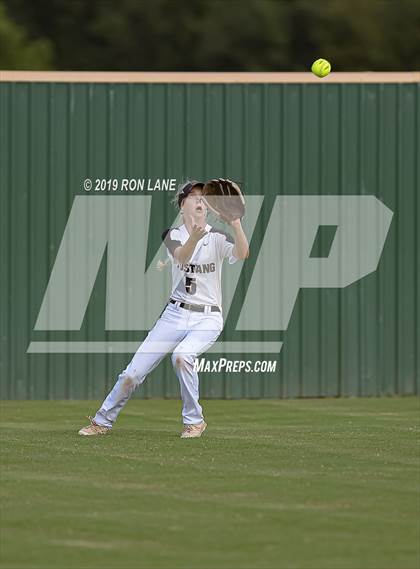 Thumbnail 1 in Mustang vs. Tuttle photogallery.