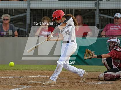 Thumbnail 3 in Mustang vs. Tuttle photogallery.