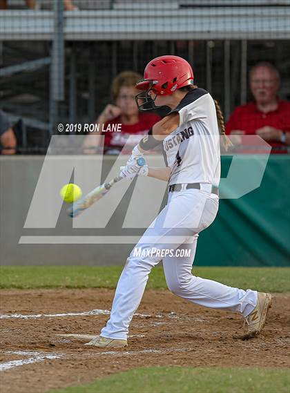 Thumbnail 2 in Mustang vs. Tuttle photogallery.