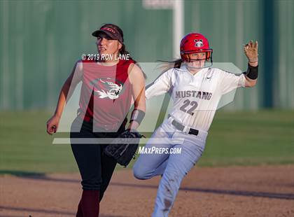 Thumbnail 1 in Mustang vs. Tuttle photogallery.