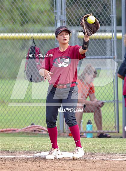 Thumbnail 2 in Mustang vs. Tuttle photogallery.