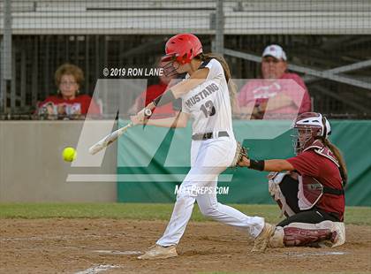 Thumbnail 2 in Mustang vs. Tuttle photogallery.
