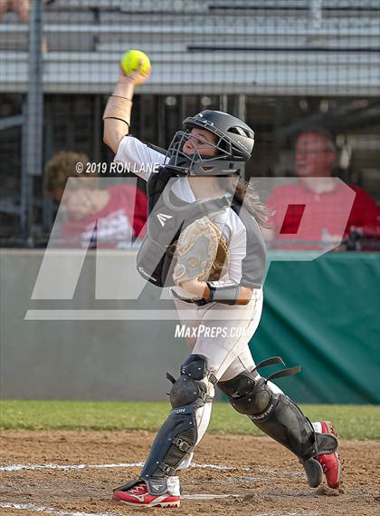 Thumbnail 3 in Mustang vs. Tuttle photogallery.