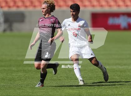 Thumbnail 1 in Judge Memorial vs. Morgan (UHSAA 3A Final) photogallery.
