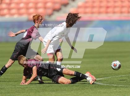 Thumbnail 3 in Judge Memorial vs. Morgan (UHSAA 3A Final) photogallery.