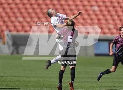 Thumbnail 3 in Judge Memorial vs. Morgan (UHSAA 3A Final) photogallery.
