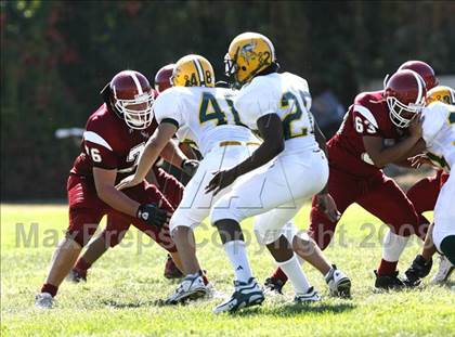 Thumbnail 3 in Vanden @ McClatchy photogallery.