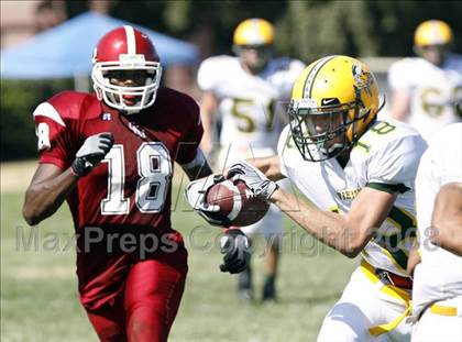 Thumbnail 1 in Vanden @ McClatchy photogallery.