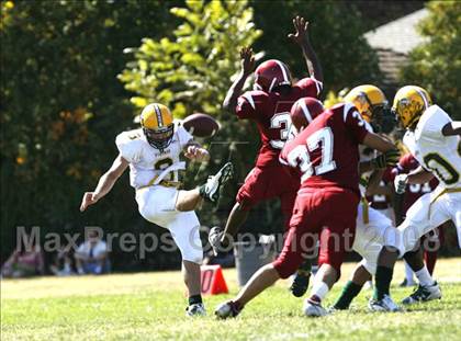 Thumbnail 3 in Vanden @ McClatchy photogallery.