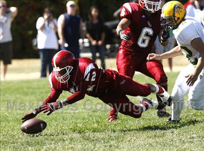Thumbnail 3 in Vanden @ McClatchy photogallery.