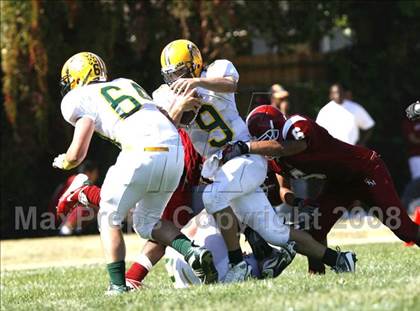 Thumbnail 2 in Vanden @ McClatchy photogallery.