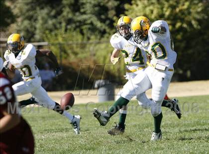 Thumbnail 2 in Vanden @ McClatchy photogallery.