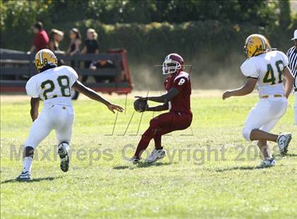 Thumbnail 1 in Vanden @ McClatchy photogallery.